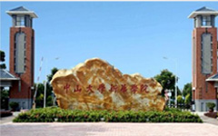 中山大学新华学院项目